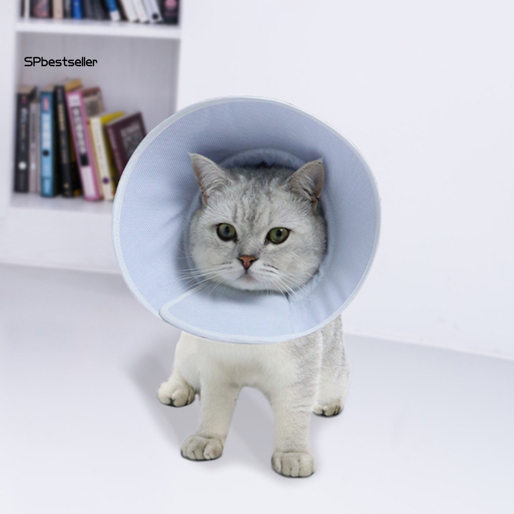 Vòng Cổ Màu Trơn Chống Cắn Bảo Vệ Cho Thú Cưng Màu Sắc