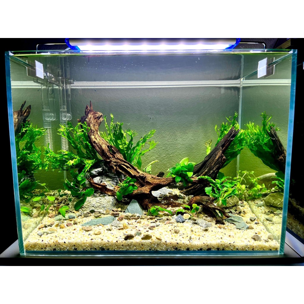 Đèn LED KAOKUI Siêu Sáng 6 Dãy - 3 Chế Độ Màu   Đèn LED Cho Bể Cá Cảnh, Thuỷ Sinh -Giao nhanh 2h