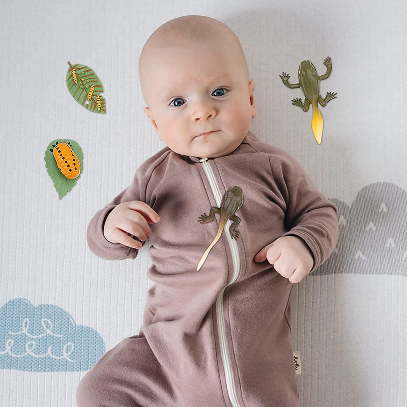 Bộ 3 Mô Hình Côn Trùng / Ếch / Bọ Rùa / Bọ Rùa Tăng Trưởng Trí Tuệ