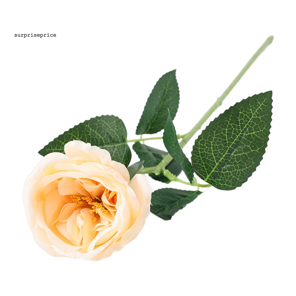 Hoa Hồng Nhân Tạo Màu Trong Suốt Lâu Trôi Dùng Làm Đạo Cụ Chụp Ảnh