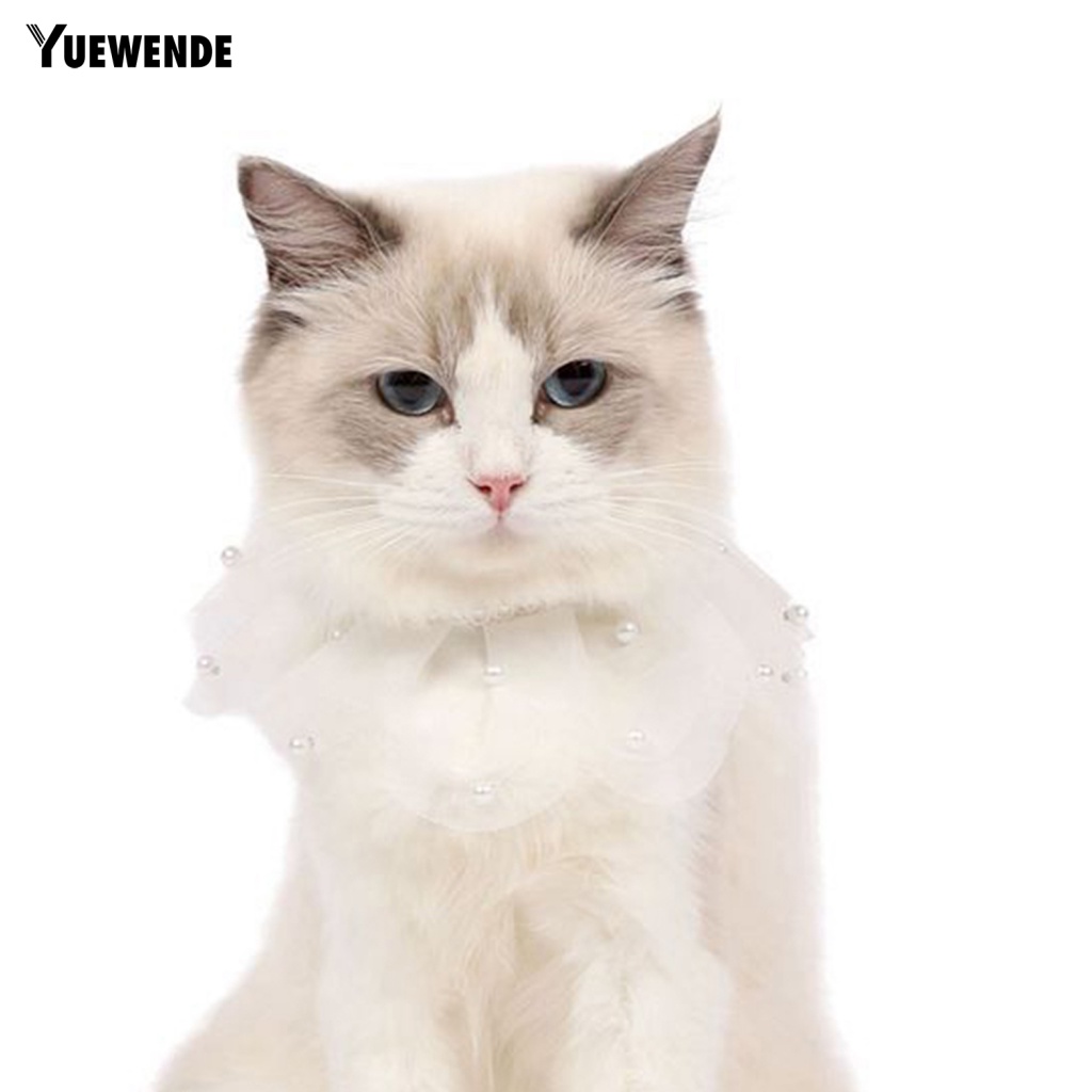 Ye.b Vòng Cổ Ren Mạnh Mẽ Cho Mọi Mùa Cho Mèo Xinh Đẹp Phụ Kiện Làm Việc Tốt