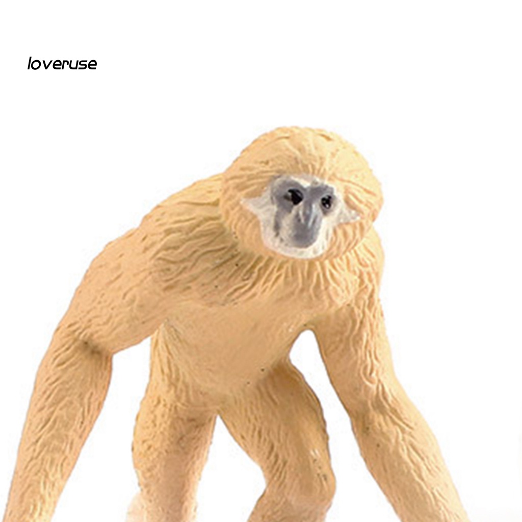 Set 10 Mô Hình Mô Phỏng Nhân Vật Gibbon Orangutan