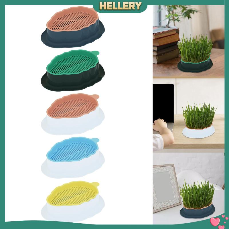 Khay Cỏ Mèo Có Lỗ Thoát Nước Tiện Dụng Cho Sân Vườn