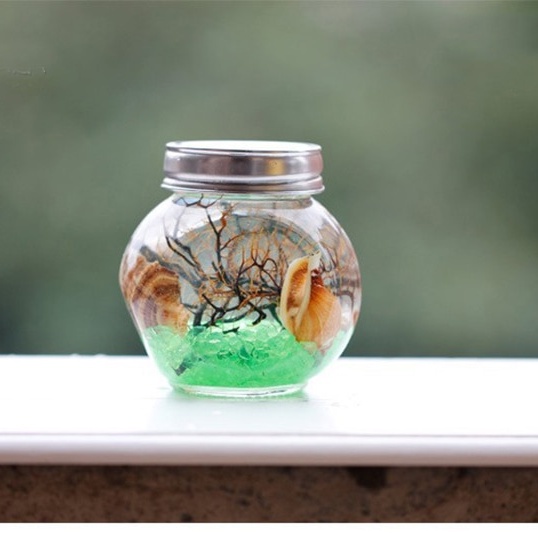 Mô Hình Tiểu Cảnh "Cát Thủy Tinh hạt lớn Túi 500gr Mini" Trang Trí Sen Đá, Sân Vườn/ Chậu Cây, DYI, Terrarium