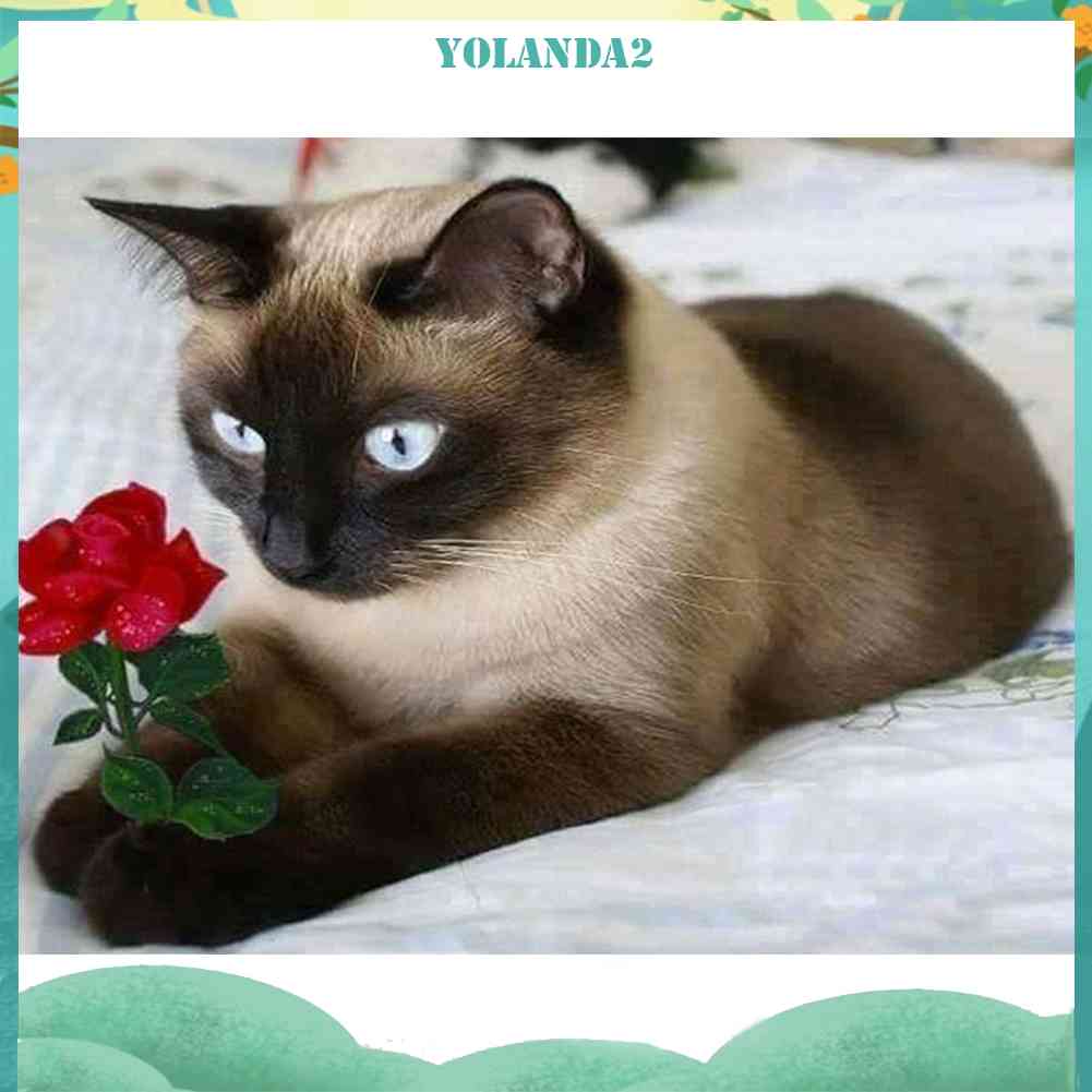 Bộ Tranh Đính Đá 5D Toàn Diện Họa Tiết Chú Mèo Dễ Thương Độc Đáo DIY Dùng Trang Trí