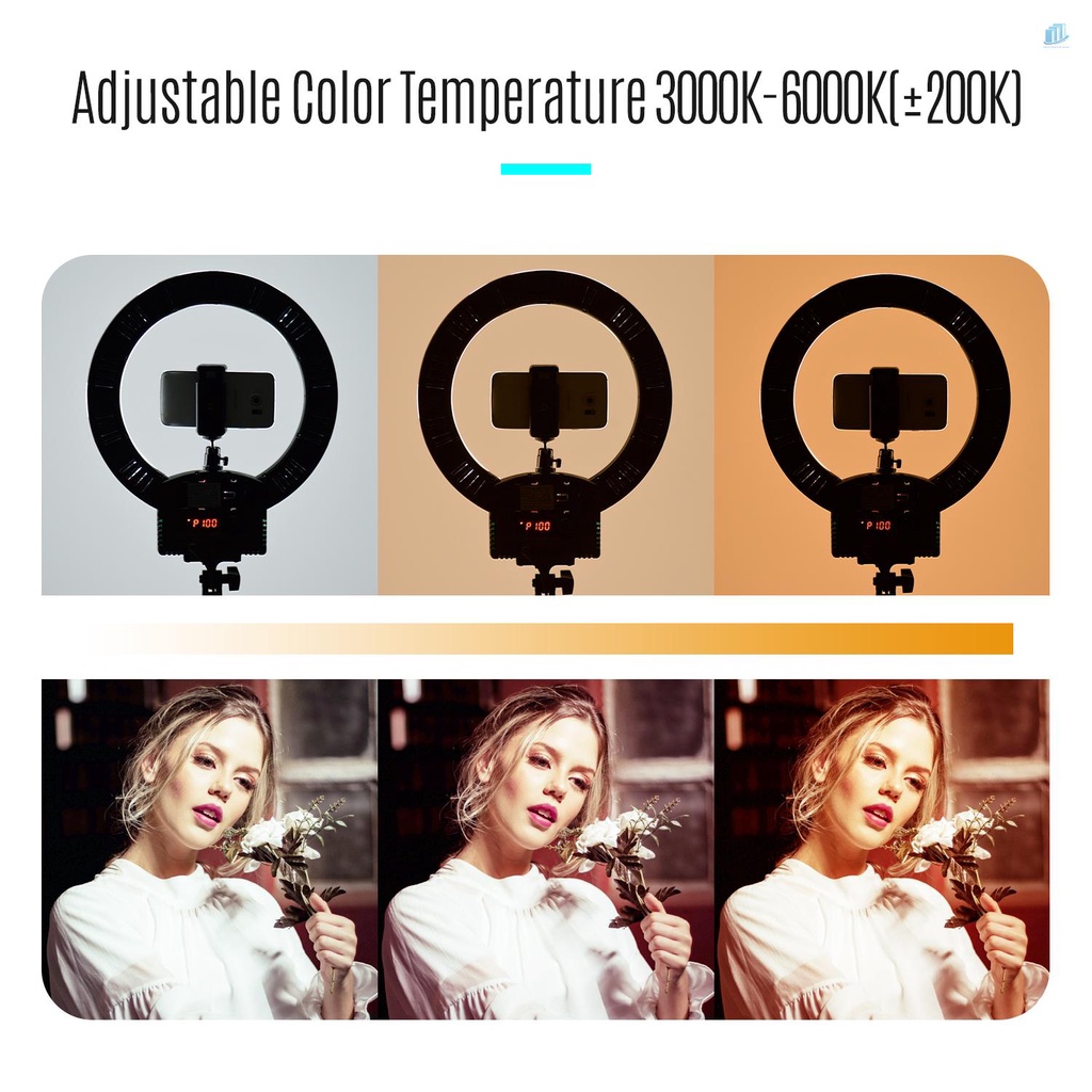 Vòng Đèn LED 12 Inch 36W Có Thể Điều Chỉnh Độ Sáng + Giá Đỡ Đầu Tròn Nhỏ Để Bàn Chuyên Nghiệp Cho Trang Điểm / Quay Video