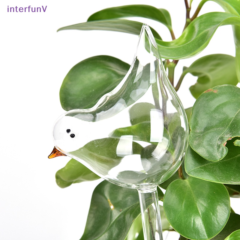 Bóng Đèn Tưới Nước Tự Động Hình Chim Bằng Thủy Tinh Trong Suốt