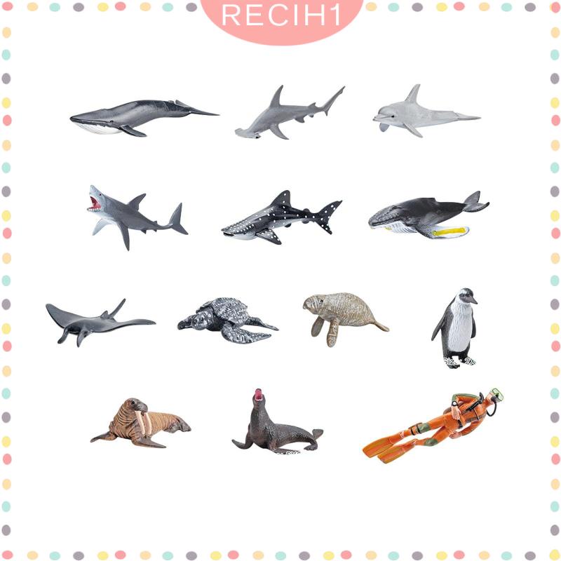 Set 13 Mô Hình Động Vật Dưới Biển Cho Bể Cá 5 6 7 8 Tuổi