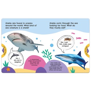 First Facts Sharks (Turn-the-Wheel Books)