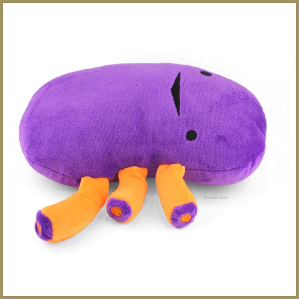 Đồ Chơi Nhồi Bông Kiểu Hoạt Hình I Heart Guts: Kidney paca3vn 20cm