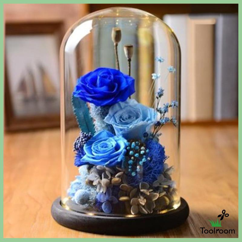 Giá Đỡ Cloche Mini Có Nắp Đậy Dùng Trang Trí Phong Cảnh