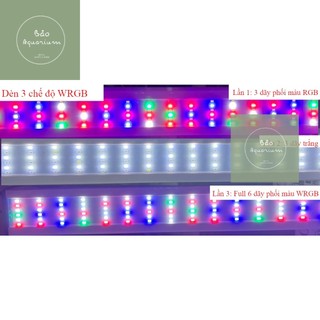  Đèn led 6 dãy ánh sáng trắng hoặc phối màu WRGB dành cho hồ thủy sinh hồ cá cảnh 