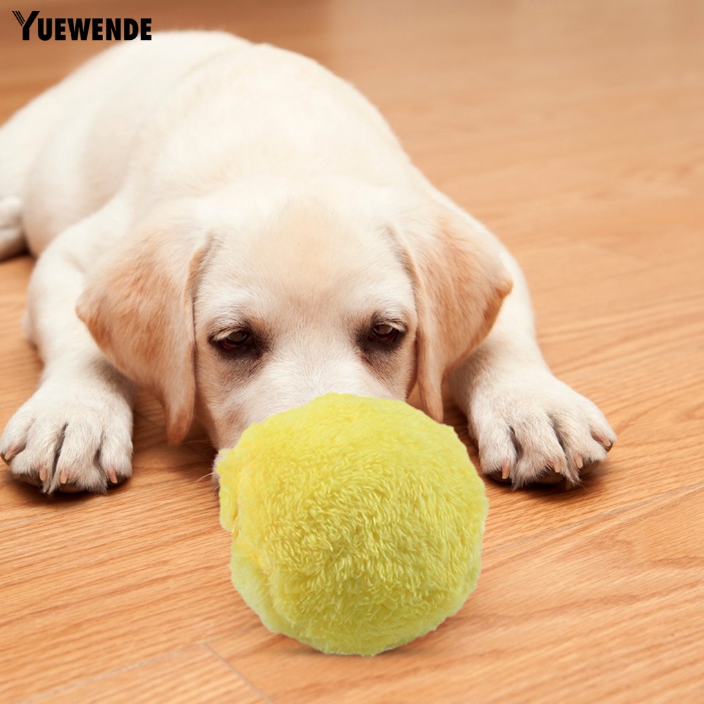 Bộ 1 Quả Bóng Đồ Chơi Điện Tử Chống Cắn Có Âm Thanh Thú Vị Cho Thú Cưng YQ.E