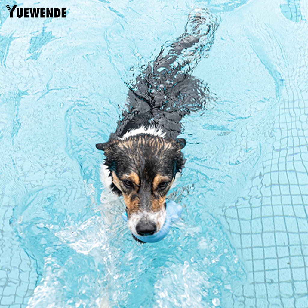 Yq.e Đồ Chơi Nhai Gặm Chống Cắn Hình Yêu Tinh Bằng Cao Su Mềm Kích Thước Nhỏ Vừa Và Vừa Lớn Cho Thú Cưng