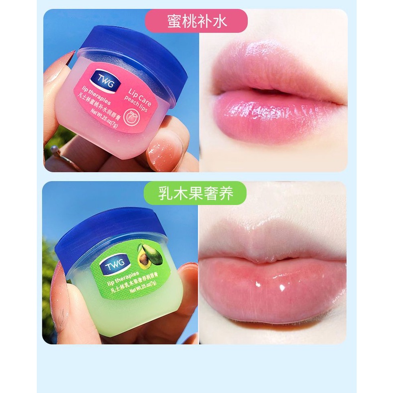 Son Dưỡng Ẩm Vaseline Tẩy Tế Bào Chết Làm Mờ Vân Môi/Dưỡng môi VANCILIN 7g dạng hũ LOẠI RẺ cho KHÁCH SỈ đủ vị  Sáp Son Dưỡng Môi VANCILIN
