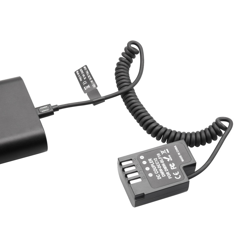 Đầu Nối Pin DMW-BLF19 DCC12 PD USB-C Cho Panasonic GH3 GH4 GH5 GH5S