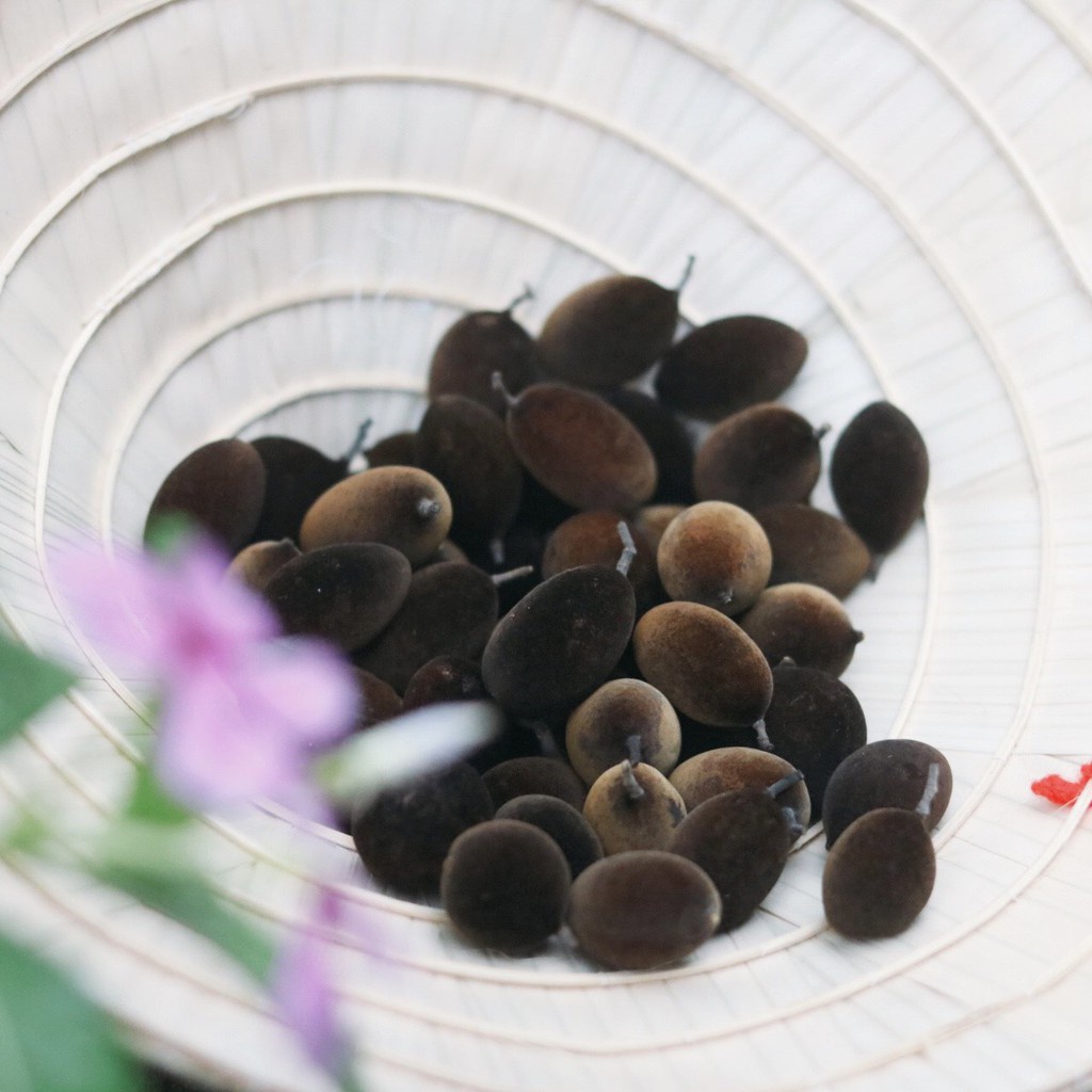 Trái nhung rừng, trái say nhung, quả xay rừng chua chua ngọt ngọt 500GR Bách Hóa Đô Sài Gòn