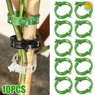 Set 10 kẹp nhựa cố định cành cây dây leo tiện dụng