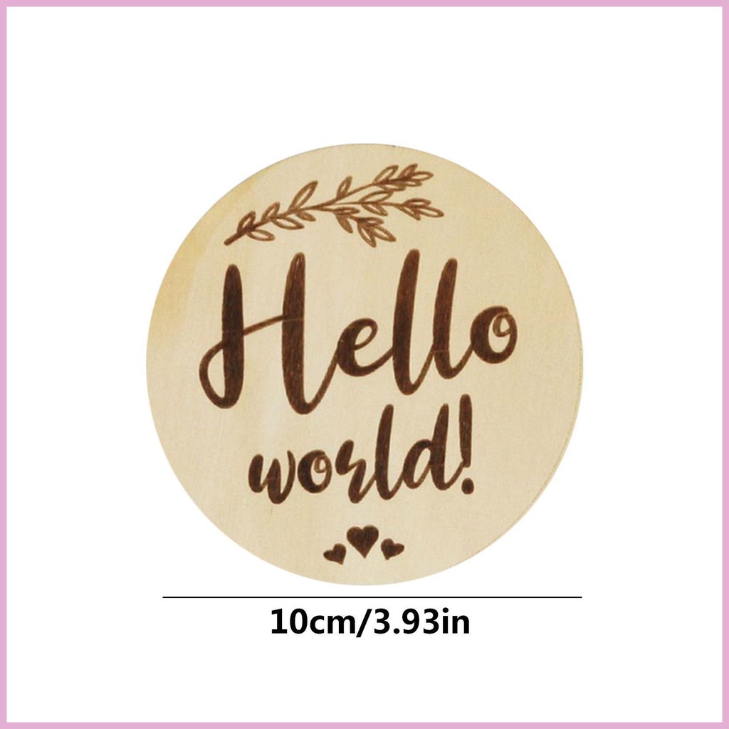 Set 6 Đĩa Đánh Dấu Cột Mốc Tháng Dùng Làm Đạo Cụ Chụp Ảnh Em Bé