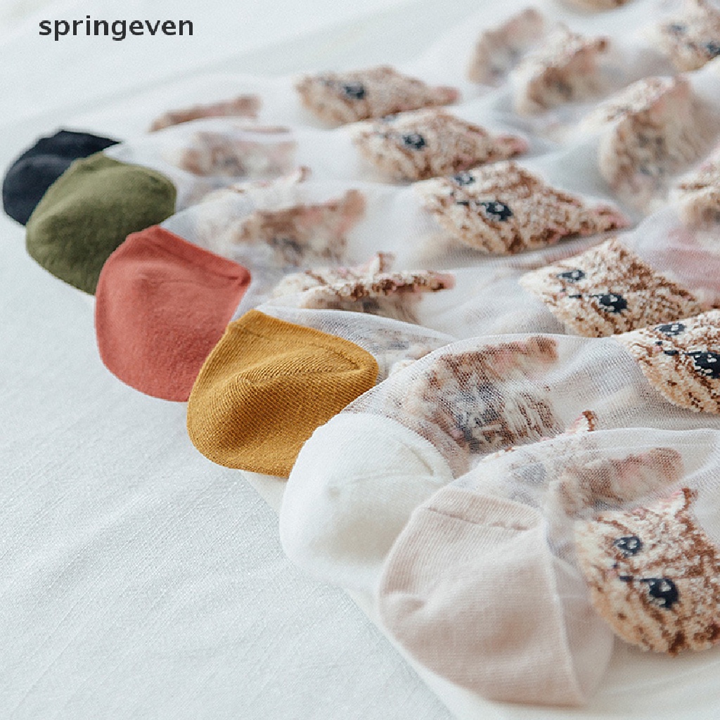 Vớ Lụa Mỏng Trong Suốt In Hình Mèo Dễ Thương Thời Trang Hàn Quốc Cho Nữ