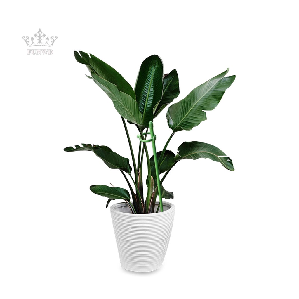 Giá Đỡ Hỗ Trợ Cây Cà Chua Leo Tiện Dụng Cho Sân Vườn