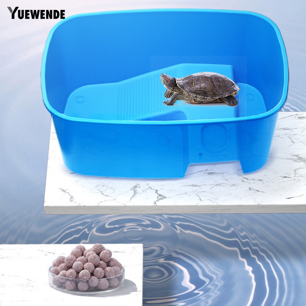 Đáy Bể Nuôi Rùa Đa Năng Chống Trượt Tiện Dụng