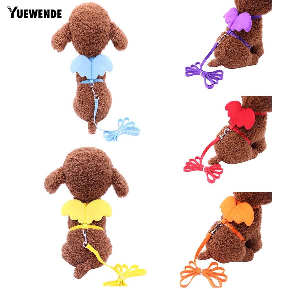 Dây Dắt Thú Cưng Đi Dạo Hình Đôi Cánh Dễ Thương