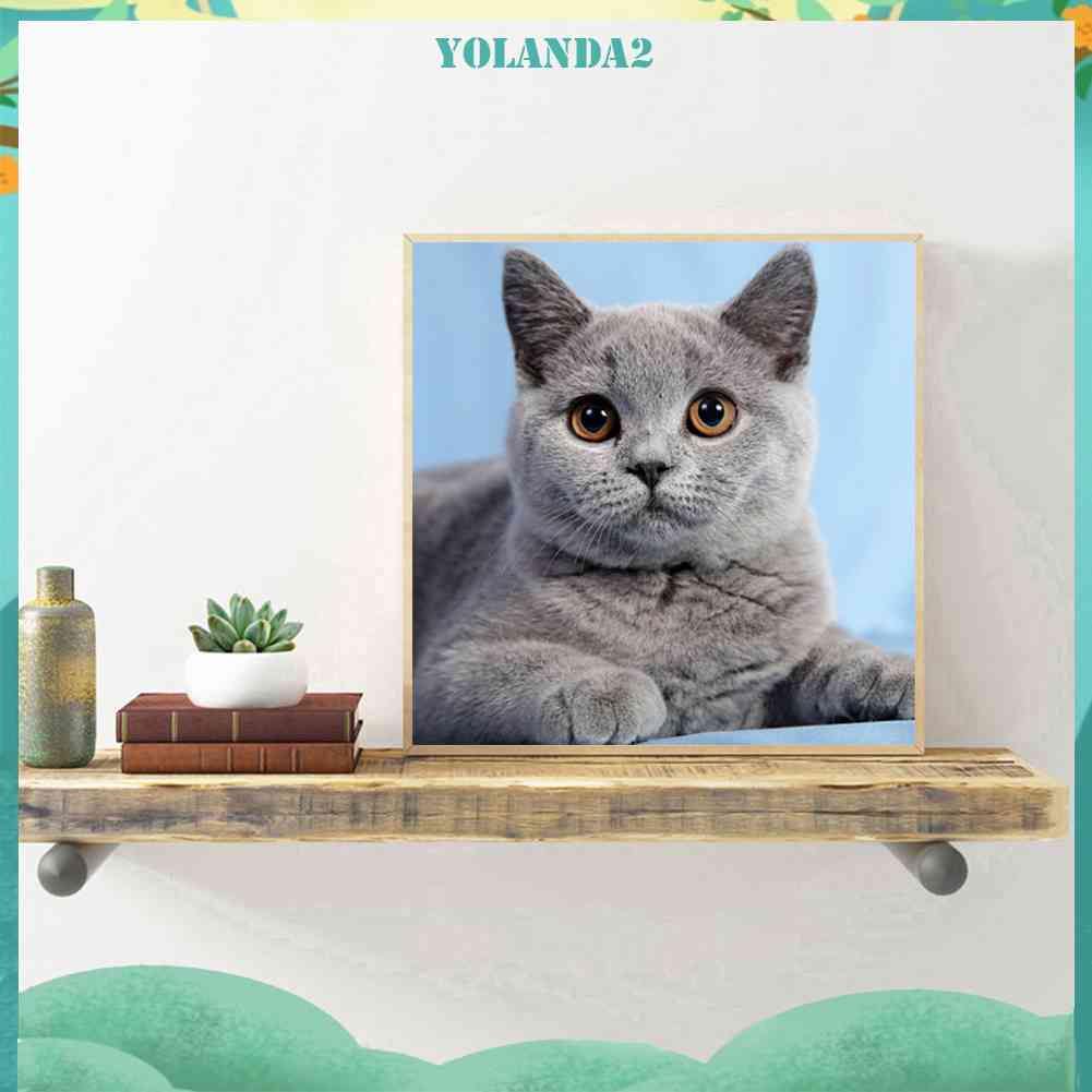 Tranh Đính Đá Kim Cương Toàn Bộ 5D DIY Hình Vẽ Mèo Trang Trí Nhà Cửa
