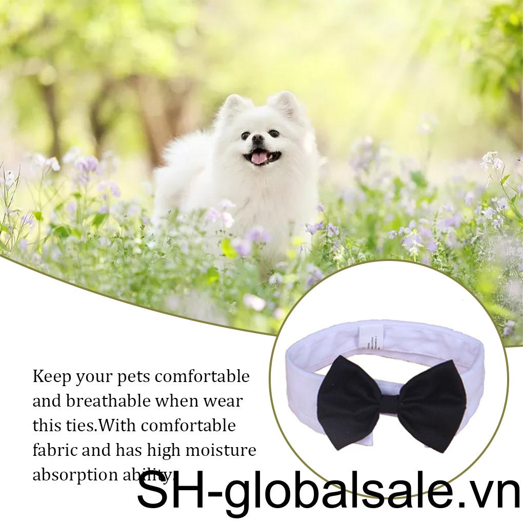 Vòng Cổ HìNh Nơ MàU Đen / TrắNg Cho Thú Cưng