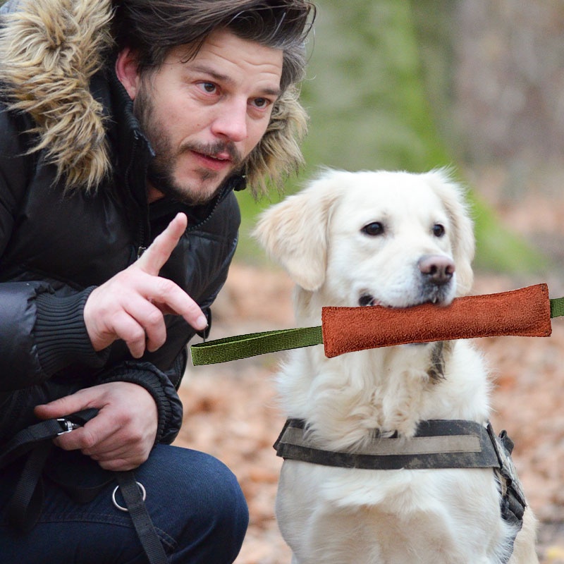 HamshMoc Đồ Chơi Ngậm Cắn Siêu Bền Có Tay Cầm Dành Cho Chó Vừa Và Lớn