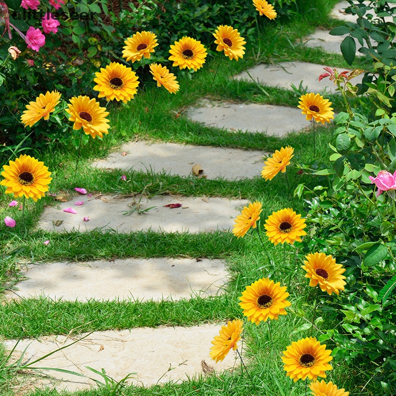 Er 5 Chậu Hoa Hướng Dương Trang Trí Sân Vườn