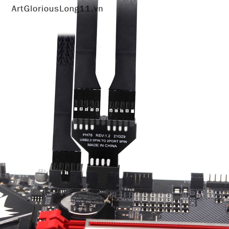 Dây Cáp Nối Bo Mạch Chủ Chuyển Đổi USB 2.0 1 Sang 2 Cổng 9 Pin