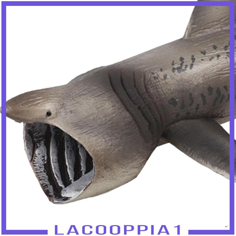 Mô Hình Cá Mập Basking Basking 1 Đồ Chơi Giáo Dục Cho Bé