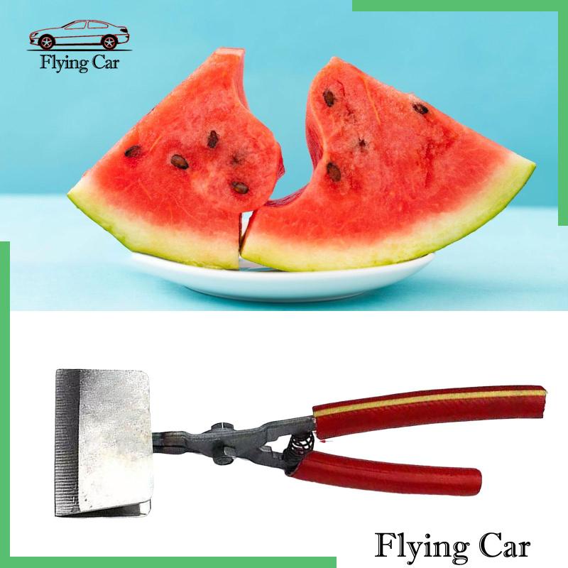 Kìm Kẹp Mở Vỏ Trái Cây Thủ Công Lzdjfmy2 7.87 "