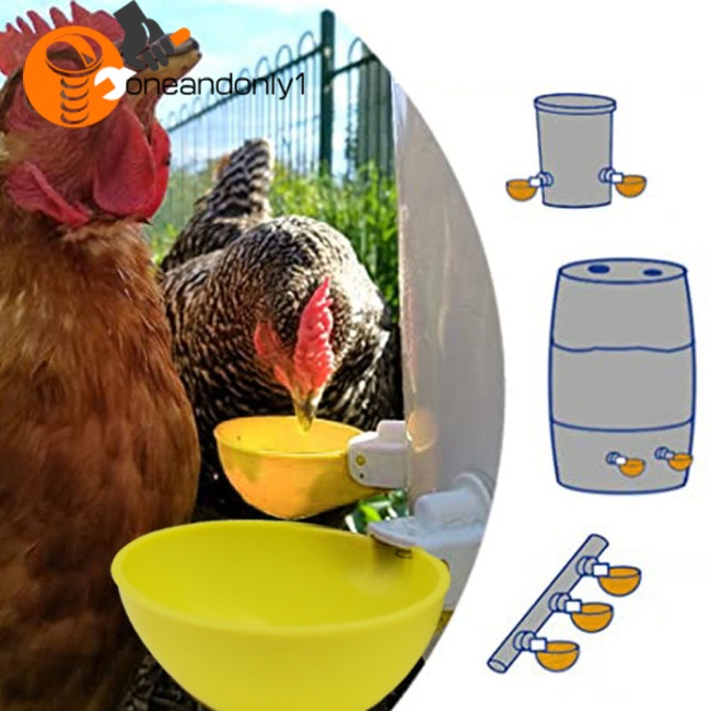 Bát Đựng Nước Uống Tự Động Chống Rò Rỉ Cho Gà Vịt