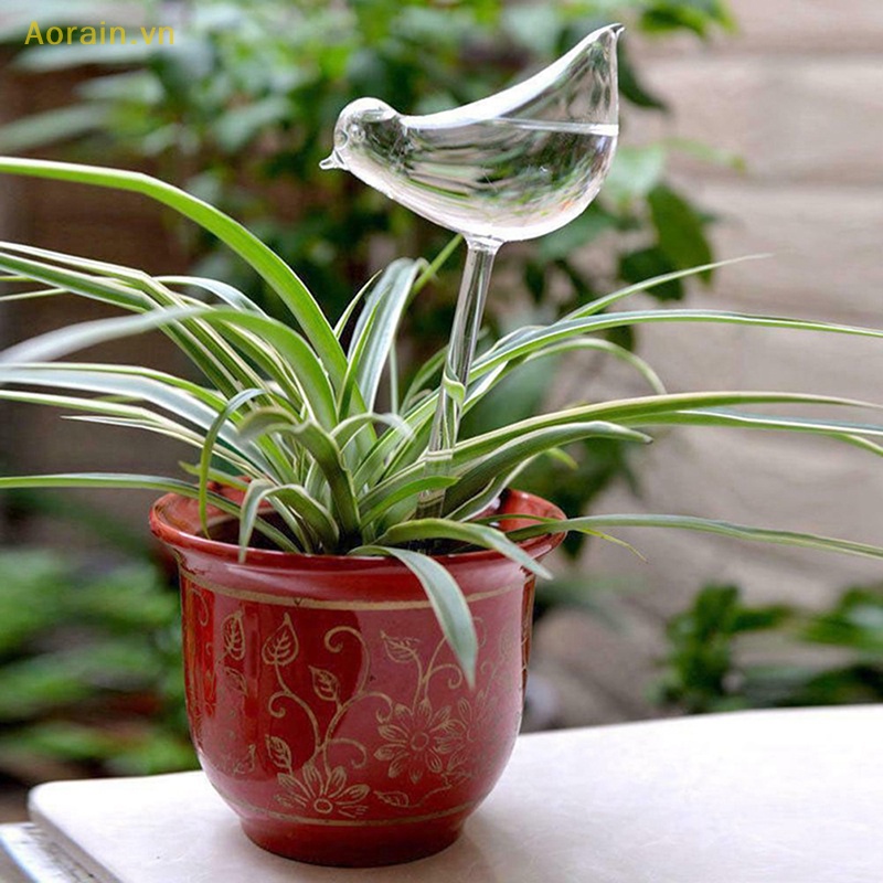 {Aorain} Bóng Đèn Nước Trong Suốt Tự Tưới Nước Tự Động Hình Con Chim