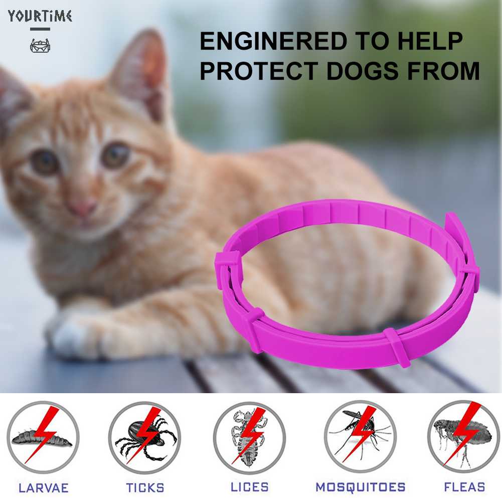 Vòng Cổ Silicone ChốNg ThấM NướC Cho Thú Cưng