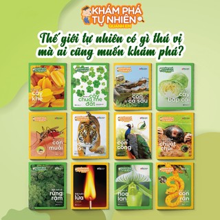 Sách - Bộ Khám Phá Tự Nhiên Quanh Em (Bộ 12 cuốn)