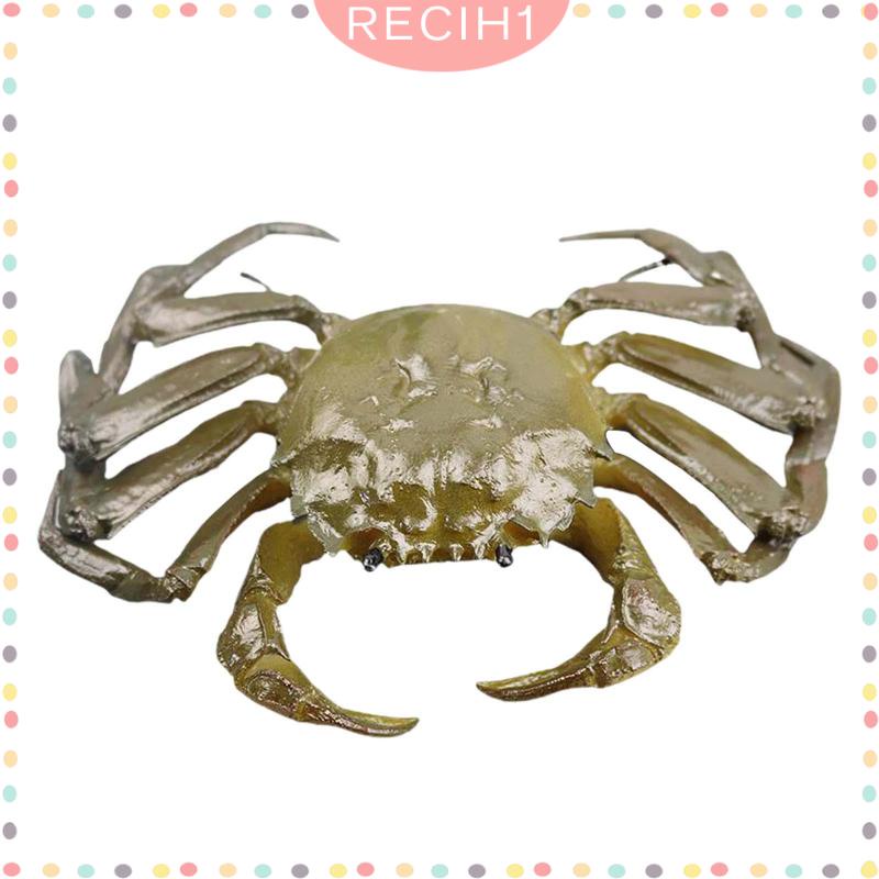 Mô Hình Sinh Vật Biển Đồ Chơi Cho Bé