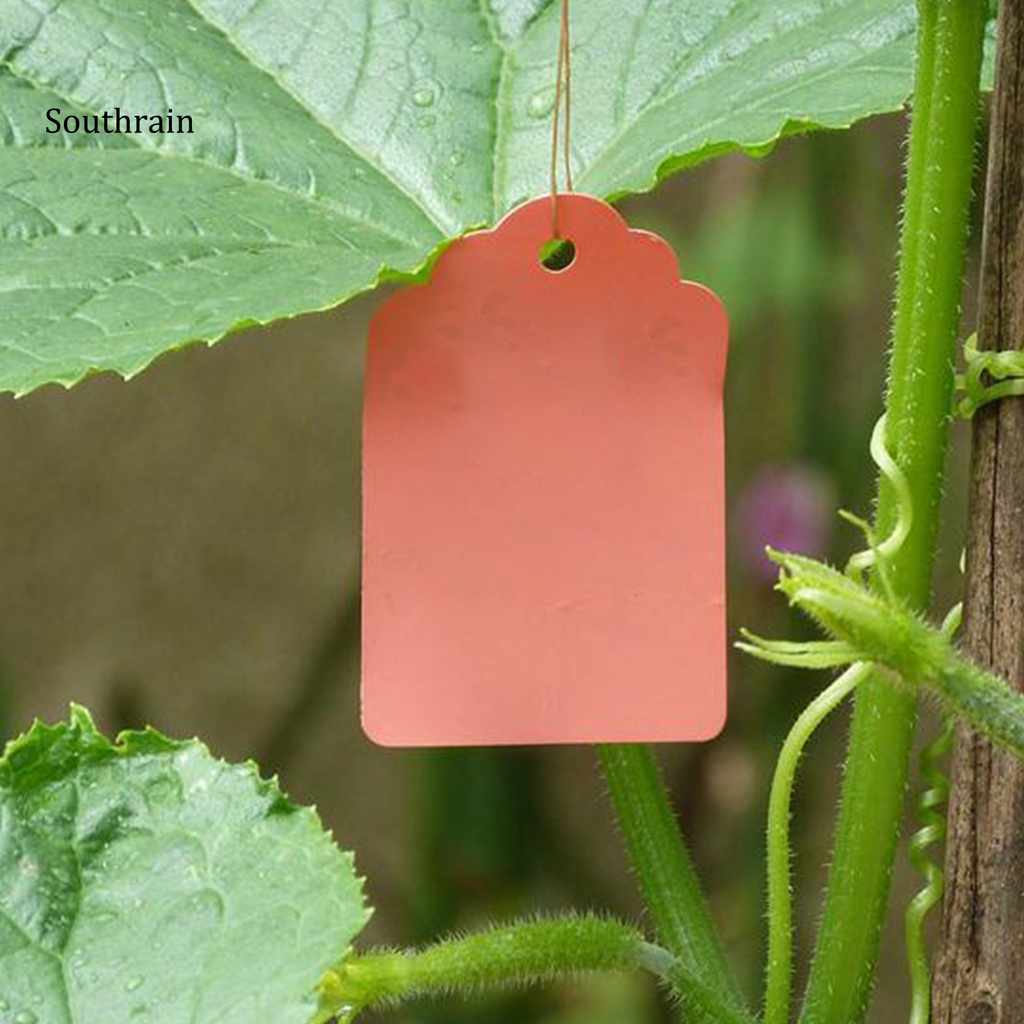 Set 100 Thẻ Nhựa Nhiều Màu Chống Nước Chịu Thời Tiết Treo Chậu Cây Trồng Sân Vườn