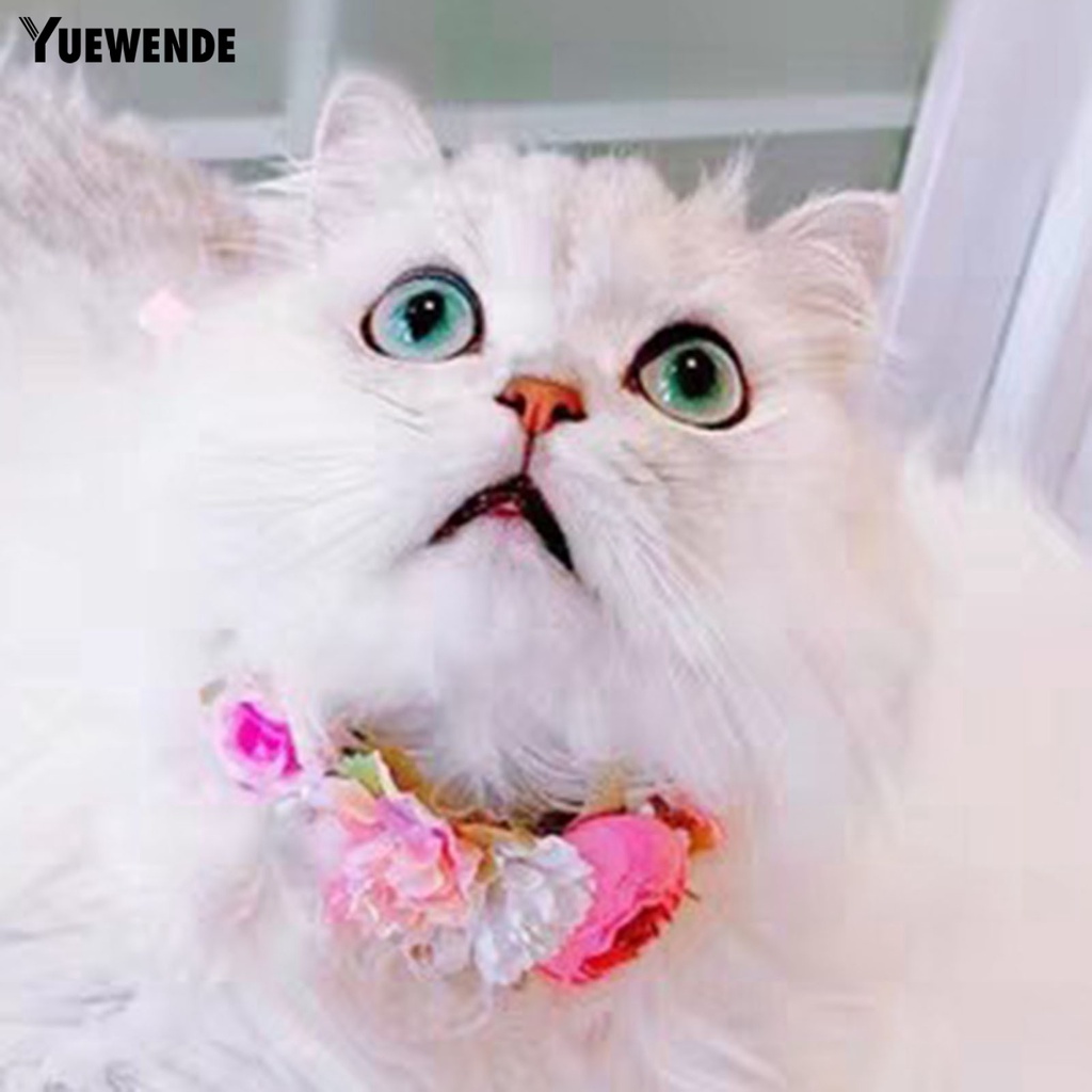 Vòng Cổ Polyester Màu Sắc Tươi Sáng Họa Tiết Hoa Xinh Xắn Cho Thú Cưng