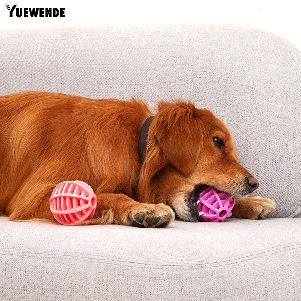Đồ Chơi Bóng Gặm Chống Cắn Vui Nhộn Cho Thú Cưng