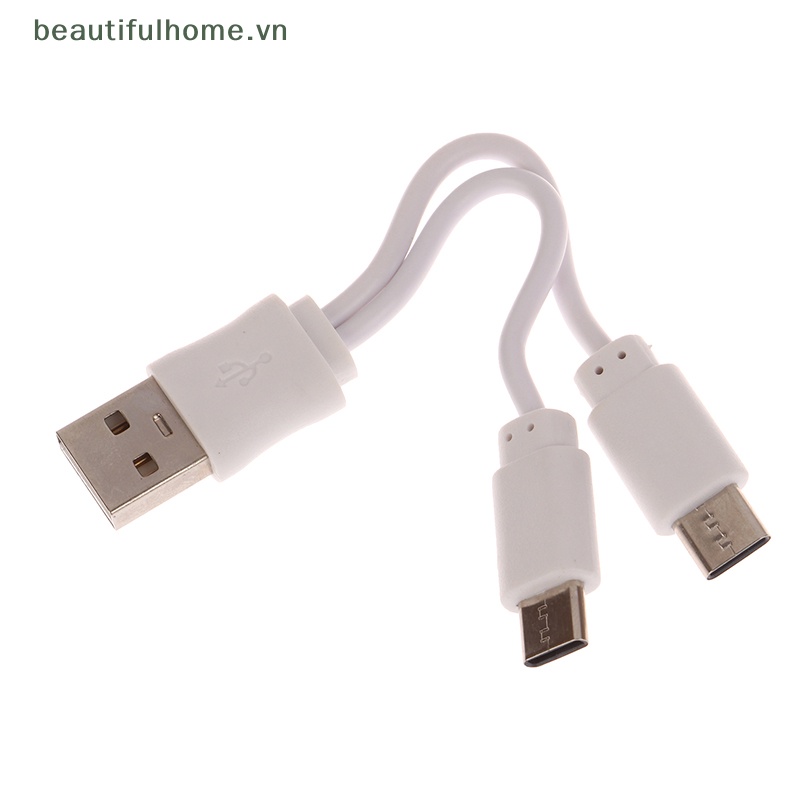 Dây Cáp Sạc USB Loại C Lithium ion 1.5V Chuyên Dụng