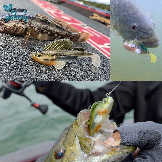 Galaxy 5 Mồi Giả Câu Cá 8.5cm / 14g Có Hộp Đựng Bằng Nhựa