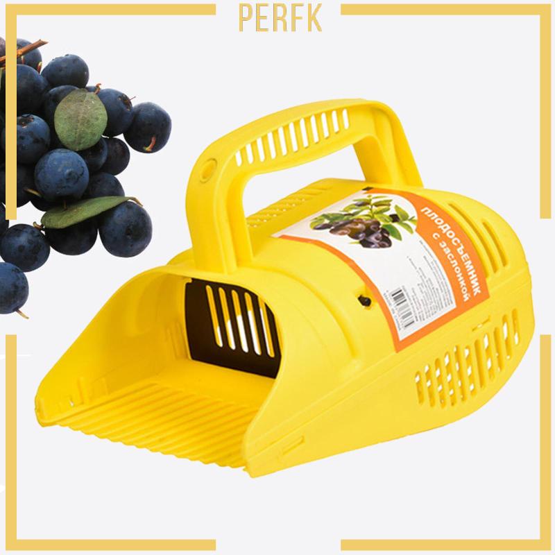 Dụng Cụ Gieo Hạt Việt Quất Tiện Dụng Cho Nhà Bếp