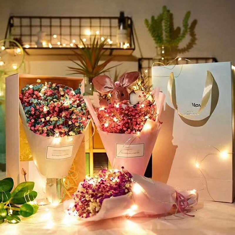 Dây Đèn LED Nút Bấm Mini Chạy Pin Kèm Hộp Pin Dây Bạc Linh Hoạt