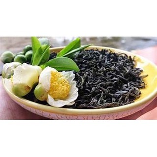 CÂY CHÈ XANH( TRÀ XANH) THÁI NGUYÊN(mua 10 cây  tặng 2 cây)