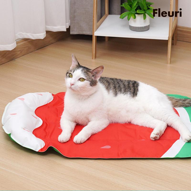Chiếu điều hoà Chống Thấm Nước Cho Thú Cưng Kennel