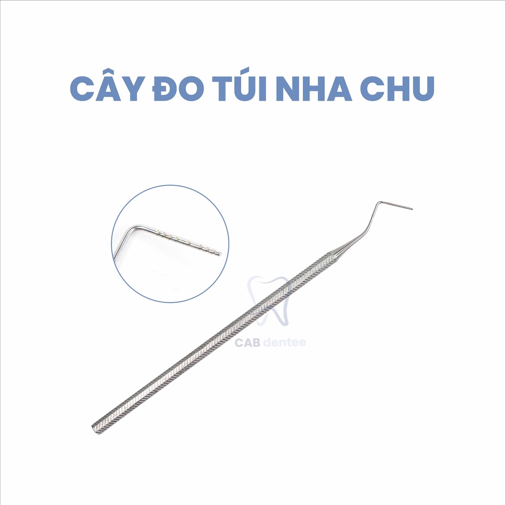 CÂY ĐO TÚI NHA CHU