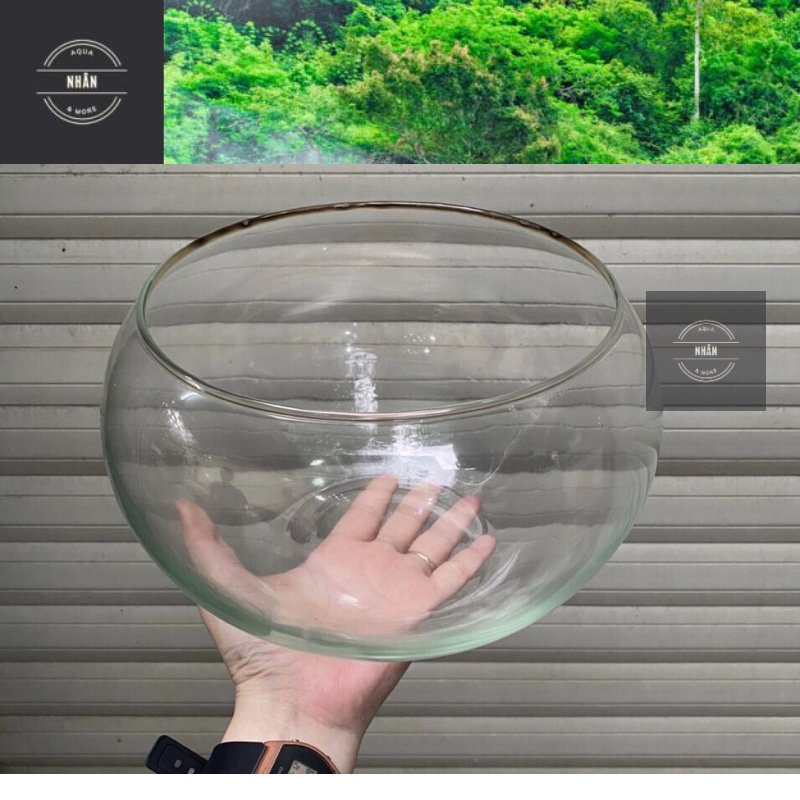 Bể Cá Tròn Phù Hợp Nuôi Cá Văn Phòng, Bàn Làm Việc | Hồ Tròn Setup Terrarium - Giao hàng siêu nhanh